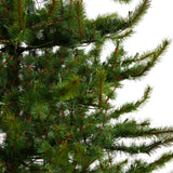 9’ Vancouver Mountain Pine Artificial Christmas Tree with 750 Clear Lights and 2583 Bendable Branches-Parc Decor