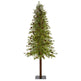 9' Wyoming Alpine Artificial Christmas Tree with 300 Clear (multifunction) LED Lights and Pine Cones on Natural Trunk-Parc Decor