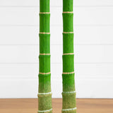 9’ Artificial Double Golden Cane Palm Tree-Tree-Parc Decor