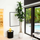 9’ Artificial Dracaena Tree with Real Touch Leaves-Tree-Parc Decor