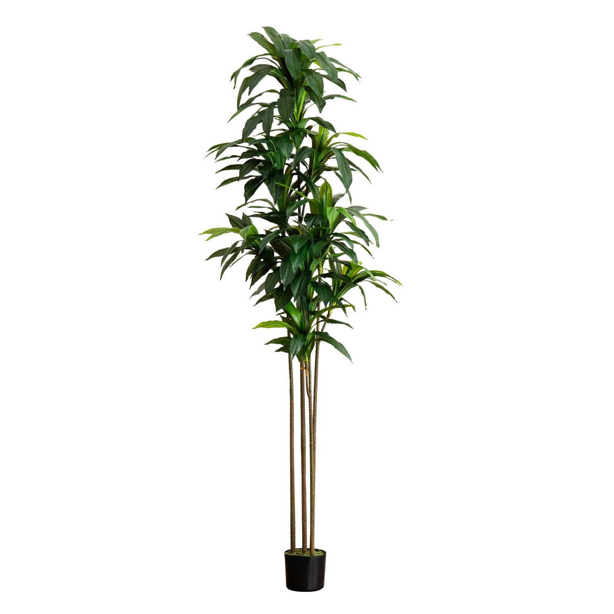9’ Artificial Dracaena Tree with Real Touch Leaves-Tree-Parc Decor