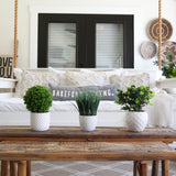 9" Artificial Grass Plant with Decorative Planter-Plant-Parc Decor