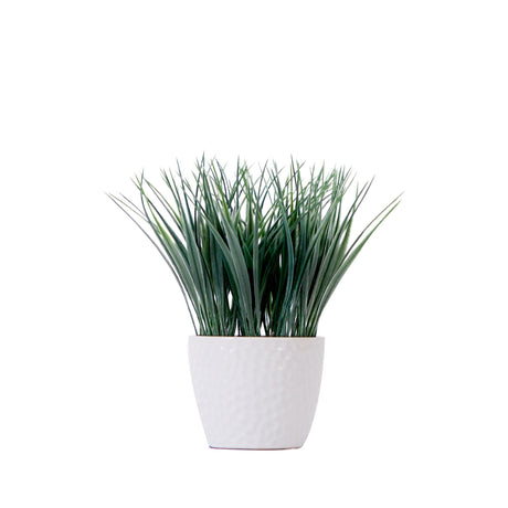 9" Artificial Grass Plant with Decorative Planter-Plant-Parc Decor