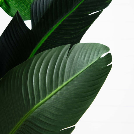 9’ Artificial Travelers Palm Tree-Tree-Parc Decor