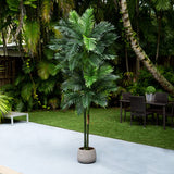 9’ UV Resistant Artificial Double Robellini Palm Tree (Indoor/Outdoor)-Tree-Parc Decor
