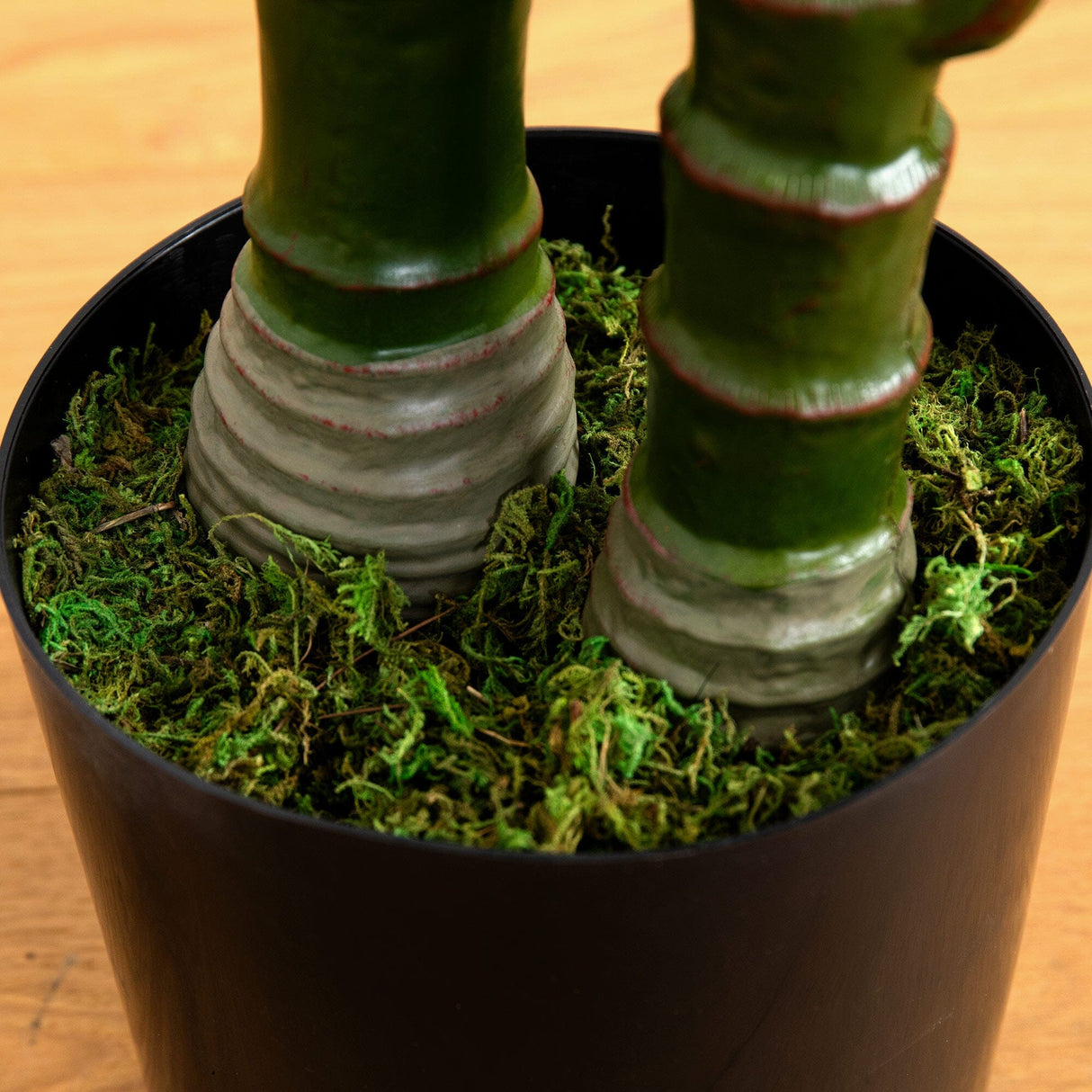 9’ UV Resistant Artificial Double Robellini Palm Tree (Indoor/Outdoor)-Tree-Parc Decor