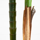 9’ UV Resistant Artificial Double Robellini Palm Tree (Indoor/Outdoor)-Tree-Parc Decor