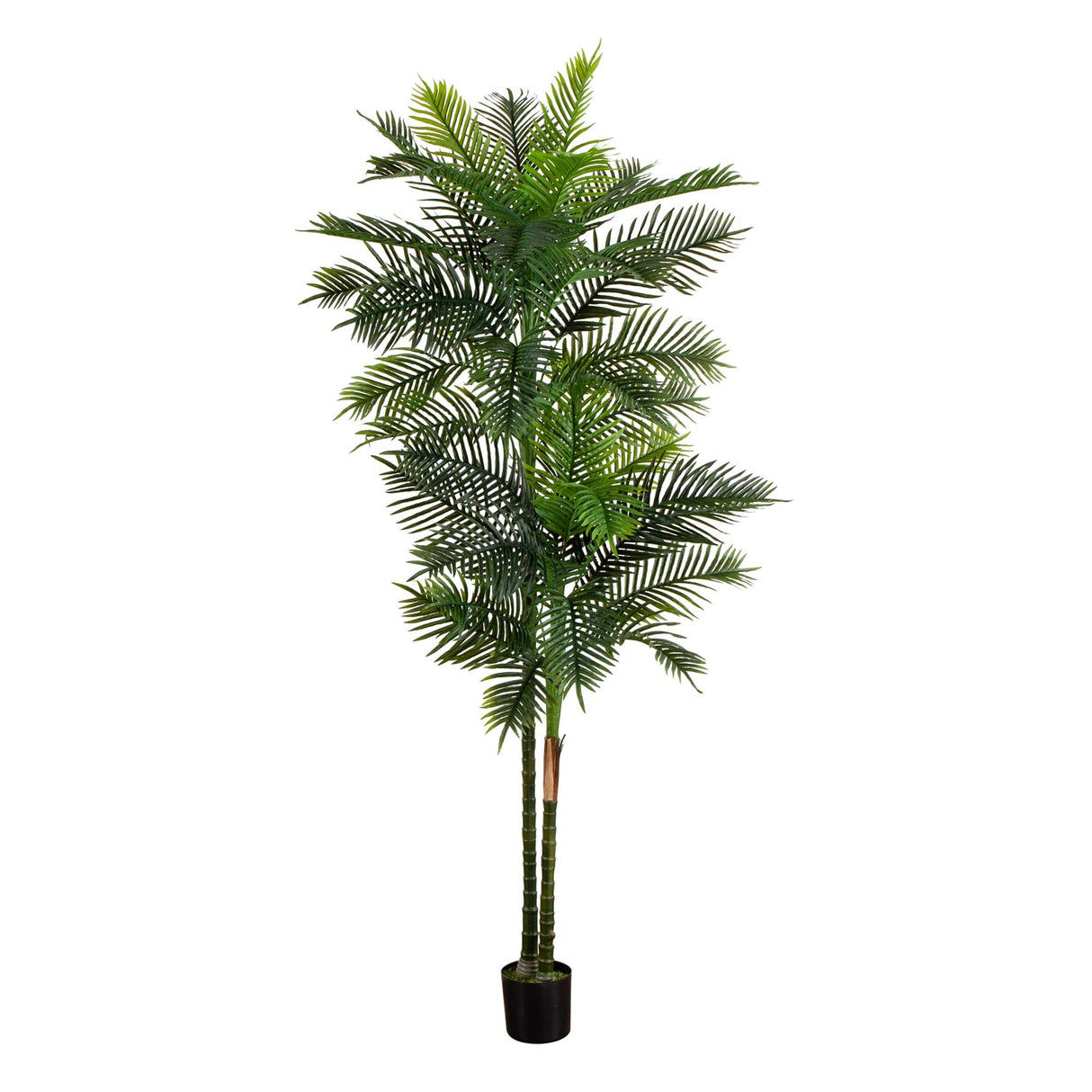 9’ UV Resistant Artificial Double Robellini Palm Tree (Indoor/Outdoor)-Tree-Parc Decor