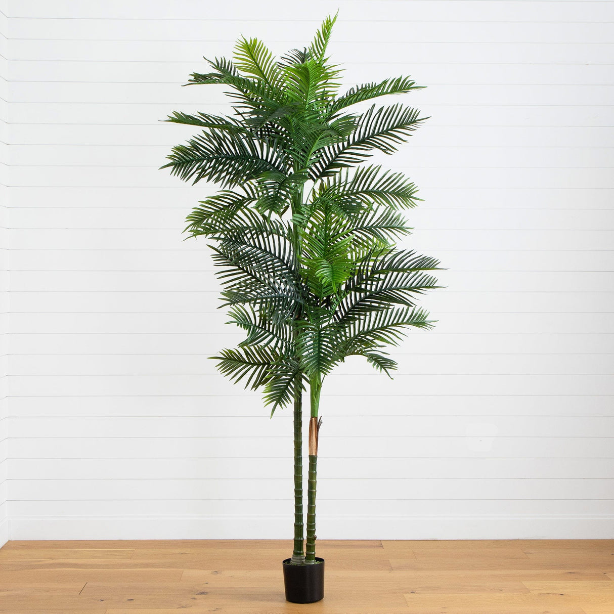 9’ UV Resistant Artificial Double Robellini Palm Tree (Indoor/Outdoor)-Tree-Parc Decor