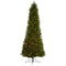 9.5' Slim Colorado Mountain Spruce Artificial Christmas Tree-Parc Decor