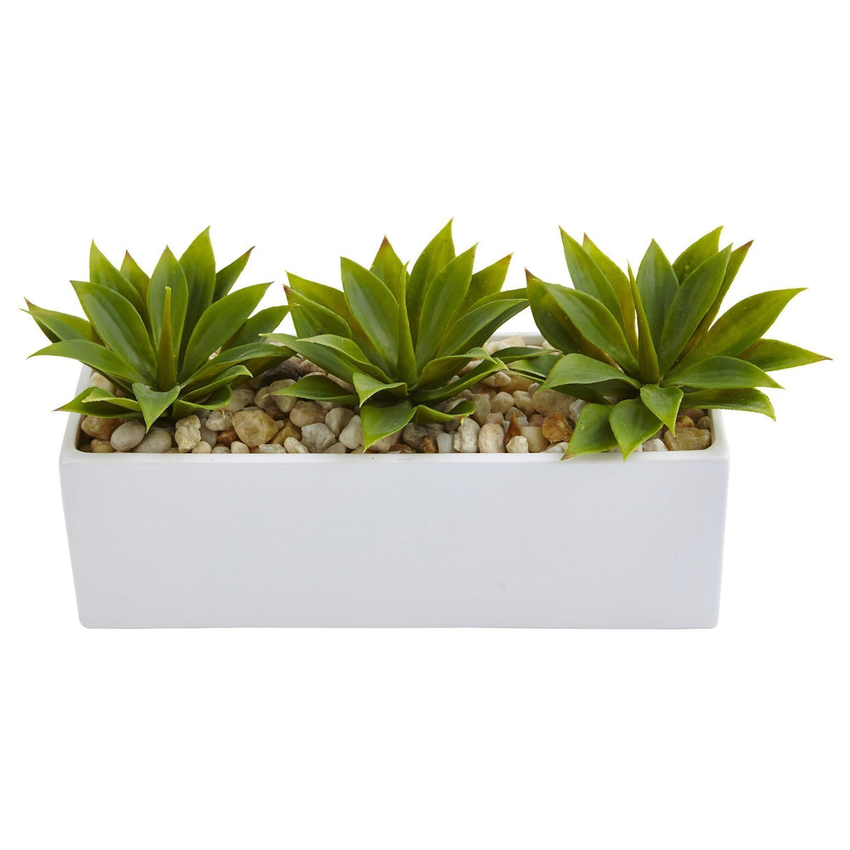 Agave Succulent in Rectangular Planter-Parc Decor