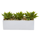 Agave Succulent in Rectangular Planter-Parc Decor