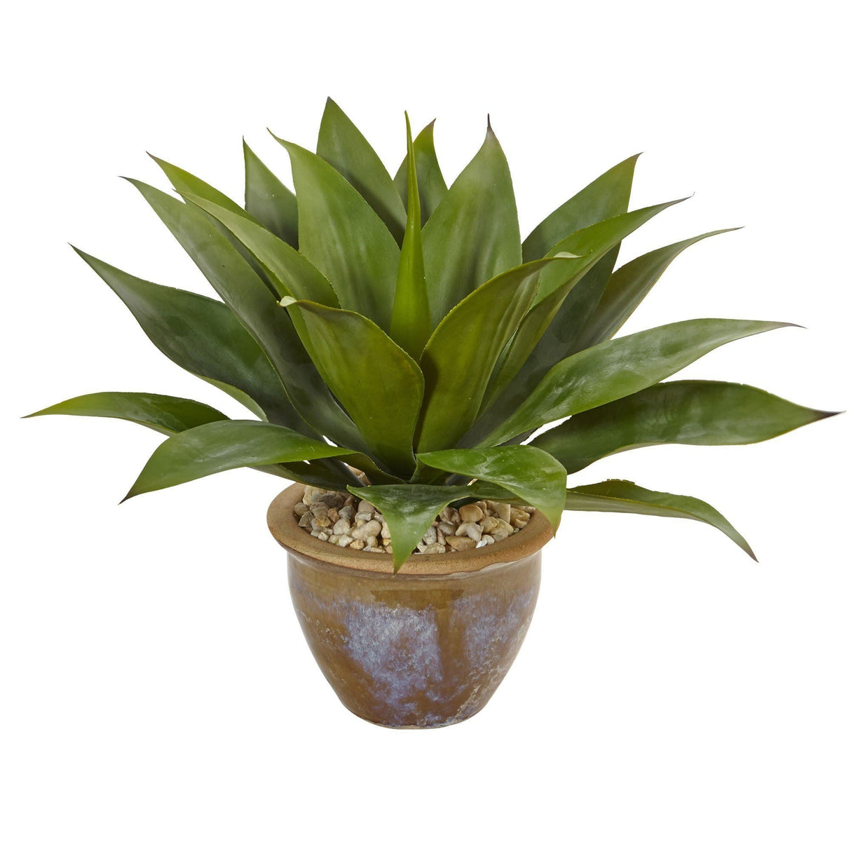 Agave in Glazed Clay Pot-Parc Decor