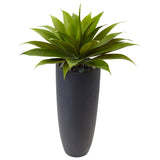 Agave in Gray Cylinder Planter-Parc Decor