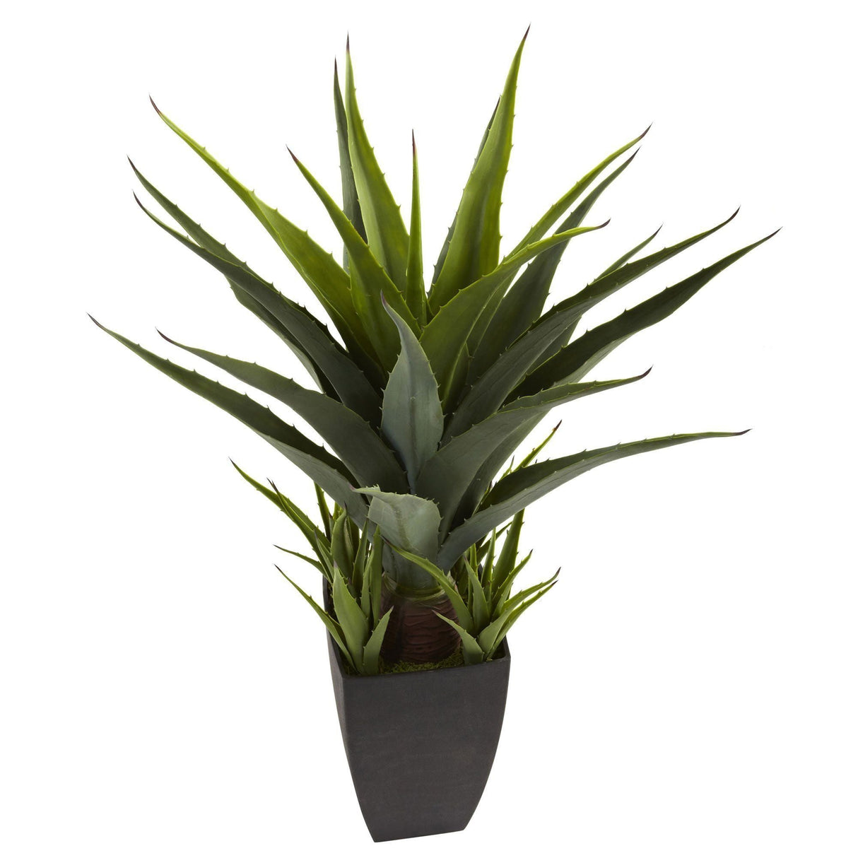 Agave w/Black Planter-Parc Decor