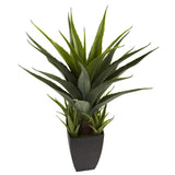 Agave w/Black Planter-Parc Decor