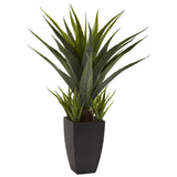Agave w/Black Planter-Parc Decor