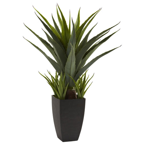 Agave w/Black Planter-Parc Decor