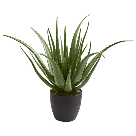 Aloe Artificial Plant-Parc Decor