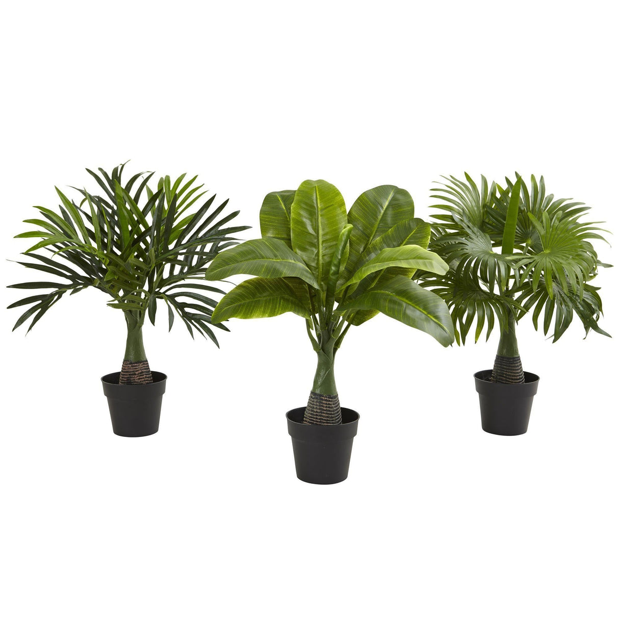 Areca, Fountain & Banana Palm (Set of 3)-Parc Decor