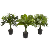 Areca, Fountain & Banana Palm (Set of 3)-Parc Decor