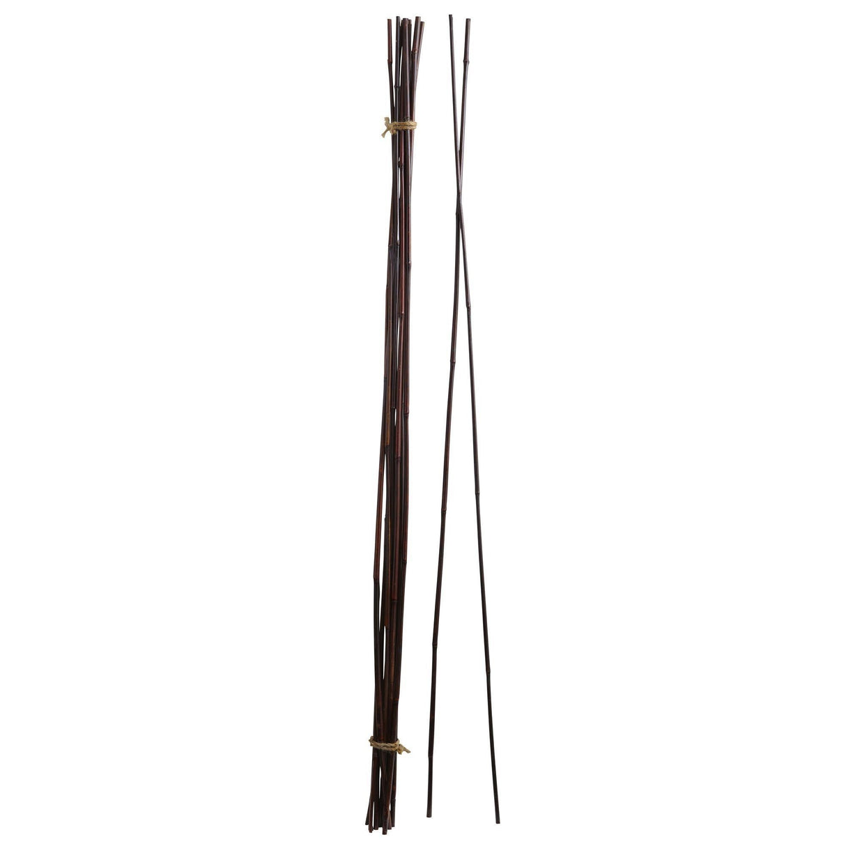 Bamboo Sticks (Set of 36)-Parc Decor