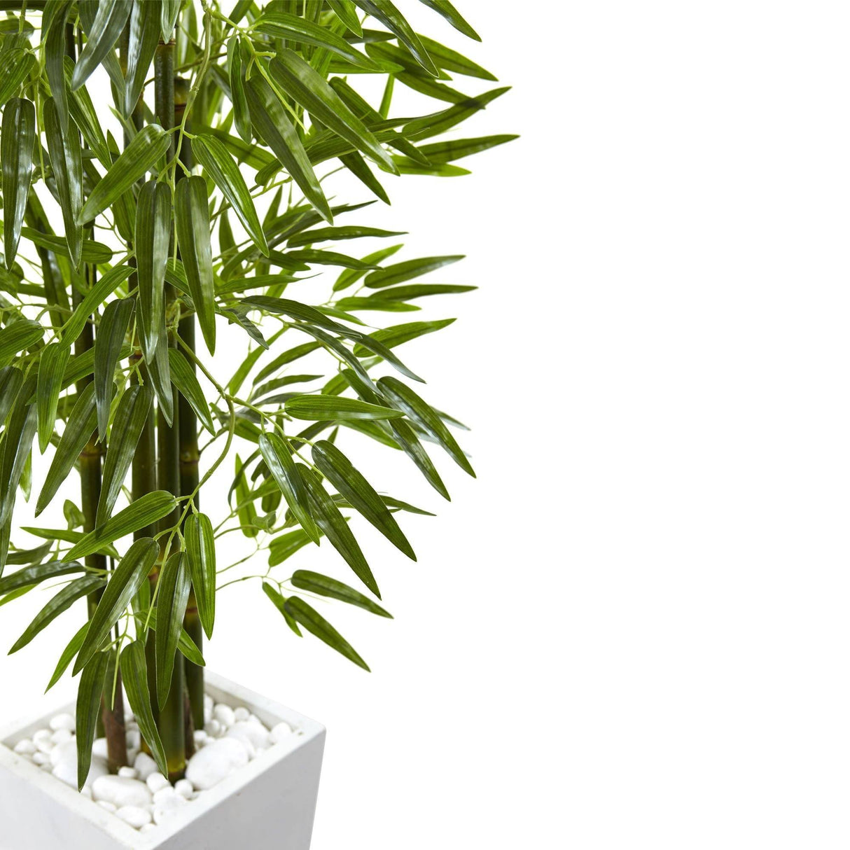 Bamboo Tree with White Planter UV Resistant (Indoor/Outdoor)-Parc Decor
