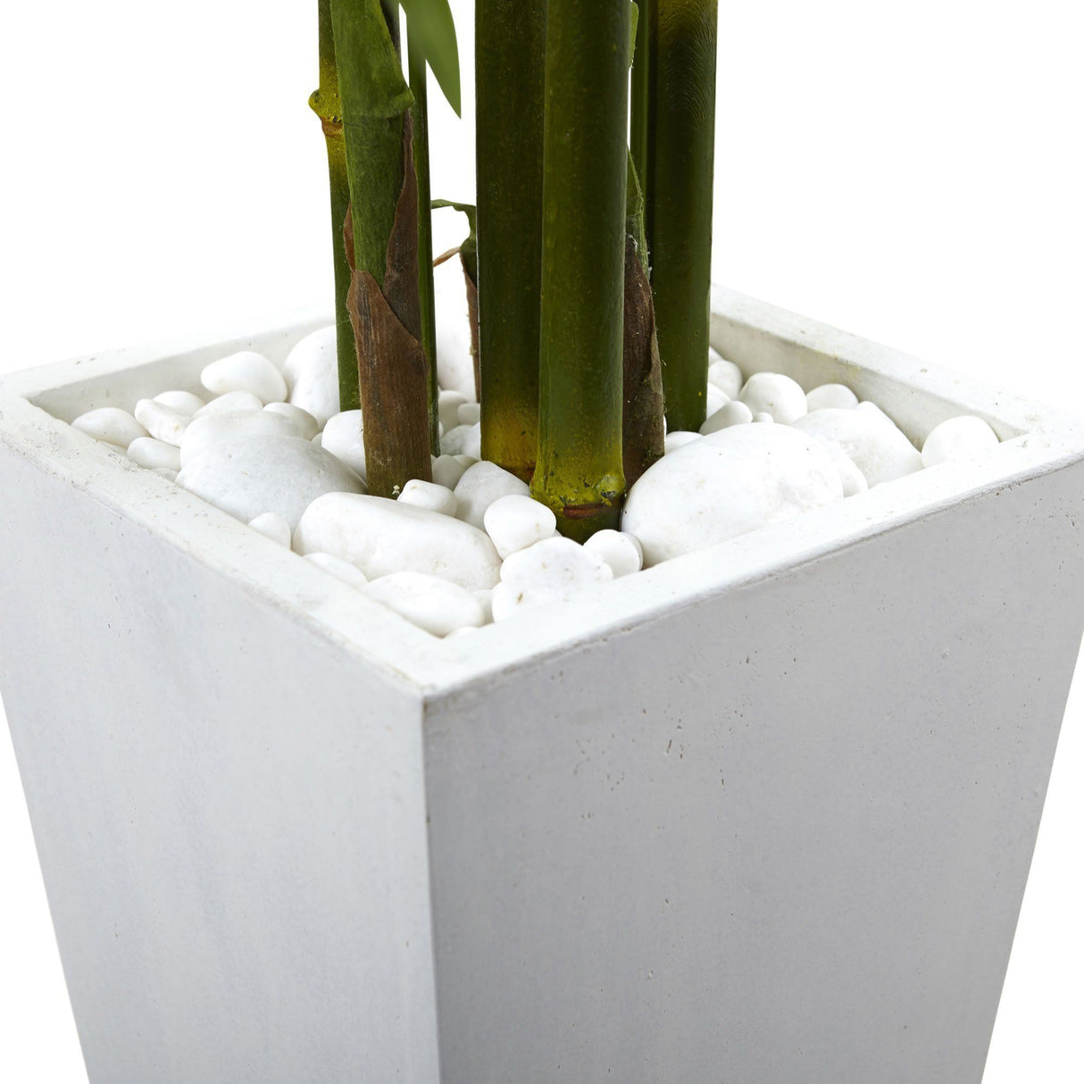 Bamboo Tree with White Planter UV Resistant (Indoor/Outdoor)-Parc Decor