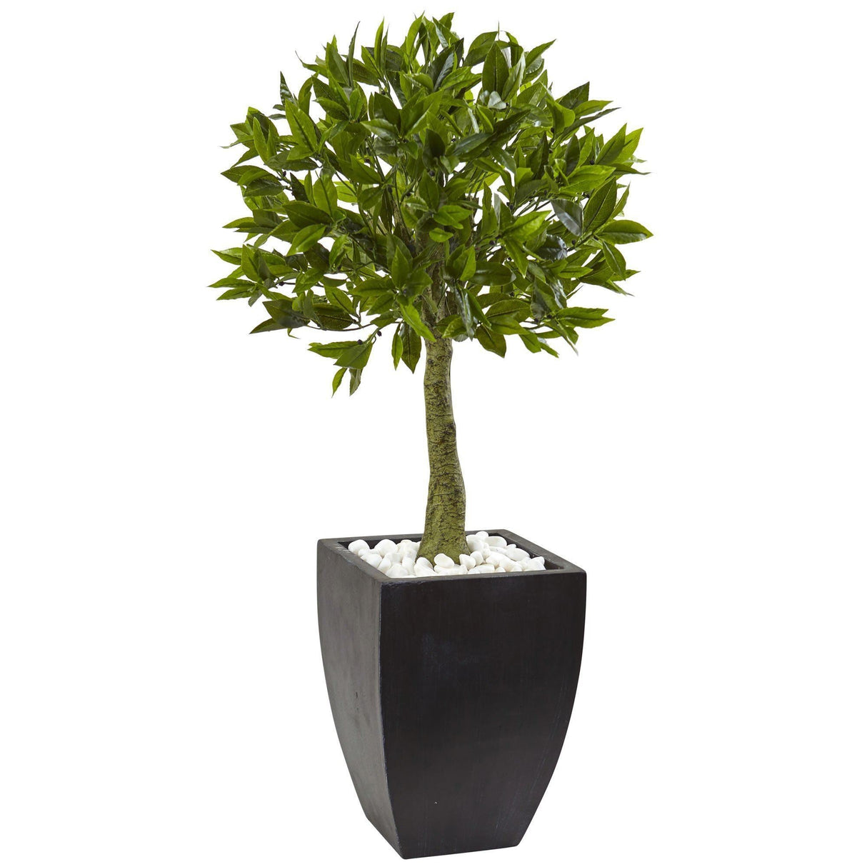 Bay Leaf Topiary with Black Wash Planter UV Resistant (Indoor/Outdoor)-Parc Decor