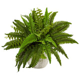 Boston Fern in White Planter-Parc Decor