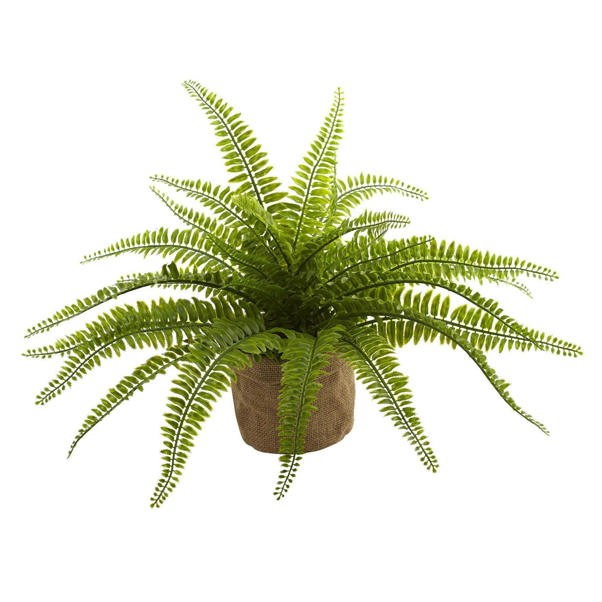 Boston Fern w/Burlap Planter (Set of 2)-Parc Decor