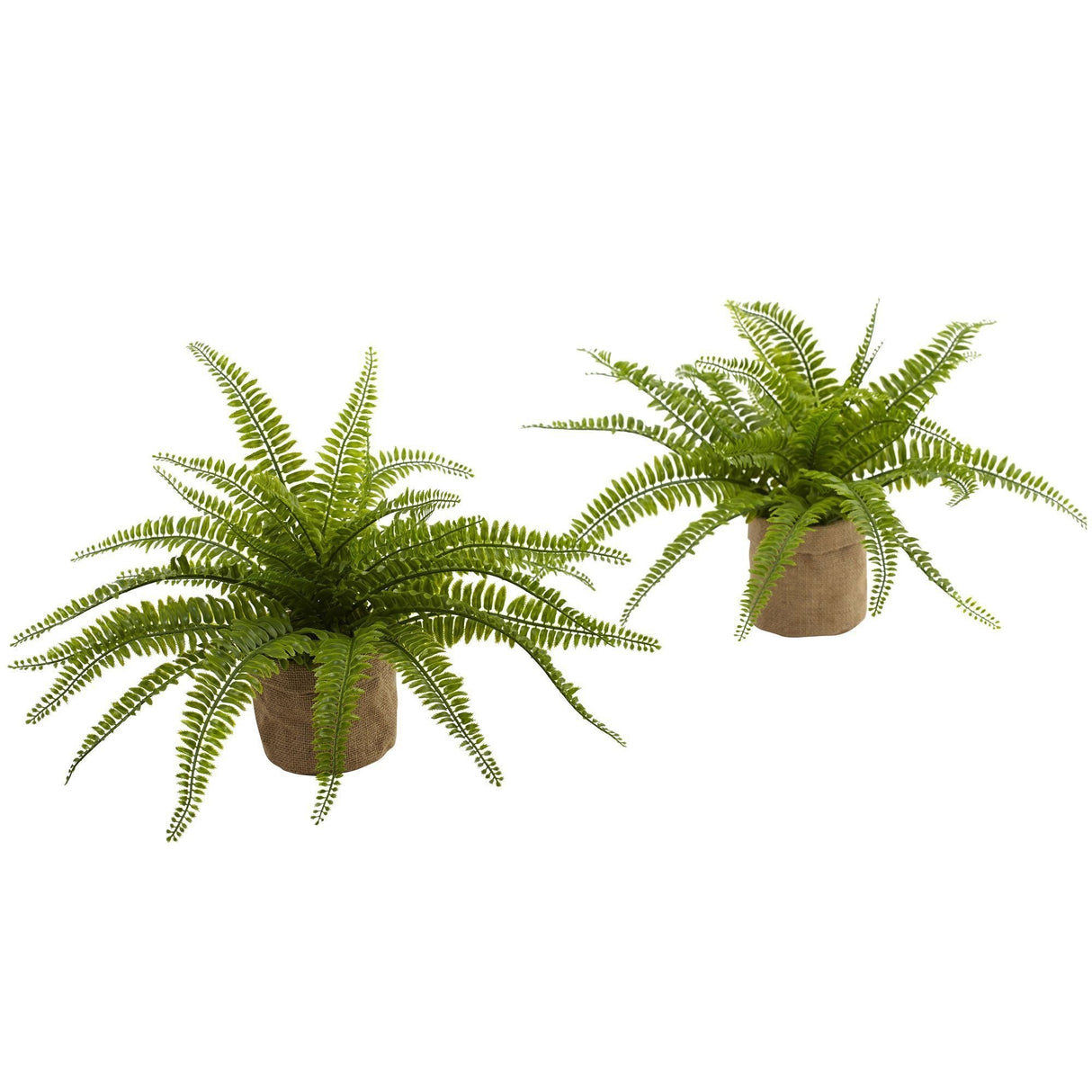 Boston Fern w/Burlap Planter (Set of 2)-Parc Decor