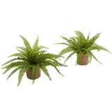 Boston Fern w/Burlap Planter (Set of 2)-Parc Decor
