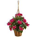 Bougainvillea in Hanging Basket-Parc Decor