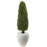 Boxwood Topiary with White Planter UV Resistant (Indoor/Outdoor)-Parc Decor