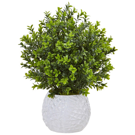 Boxwood in White Vase (Indoor/Outdoor)-Parc Decor