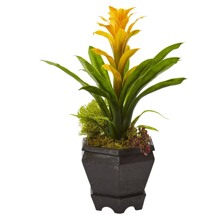 Bromeliad in Black Hexagon Planter-Parc Decor