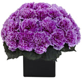 Carnation Arrangement w/Vase-Parc Decor
