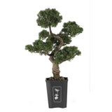 Cedar Bonsai 36" Silk Plant"-Parc Decor