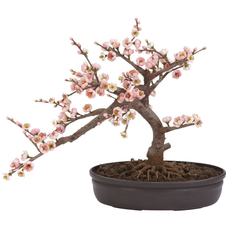 Cherry Blossom Bonsai Silk Tree-Parc Decor