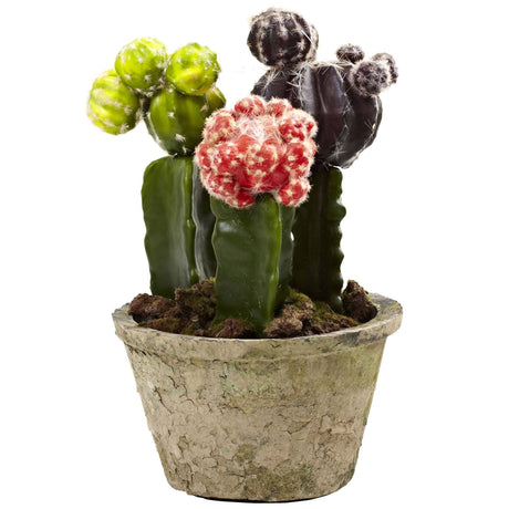 Colorful Cactus Gardens (Set of 2)-Parc Decor