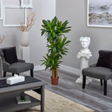 Corn Stalk Dracaena Silk Plant (Real Touch)-Parc Decor