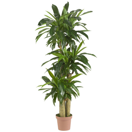 Corn Stalk Dracaena Silk Plant (Real Touch)-Parc Decor