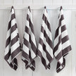 Cotton Velour Cabana Stripe Beach Towel – Novia Collection-Parc Decor