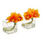Cymbidium Orchid Artificial Arrangement in Glass Vase (Set of 2)-Parc Decor