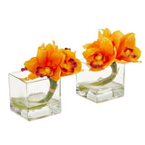 Cymbidium Orchid Artificial Arrangement in Glass Vase (Set of 2)-Parc Decor