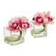 Cymbidium Orchid Artificial Arrangement in Glass Vase (Set of 2)-Parc Decor