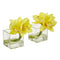 Cymbidium Orchid Artificial Arrangement in Glass Vase (Set of 2)-Parc Decor
