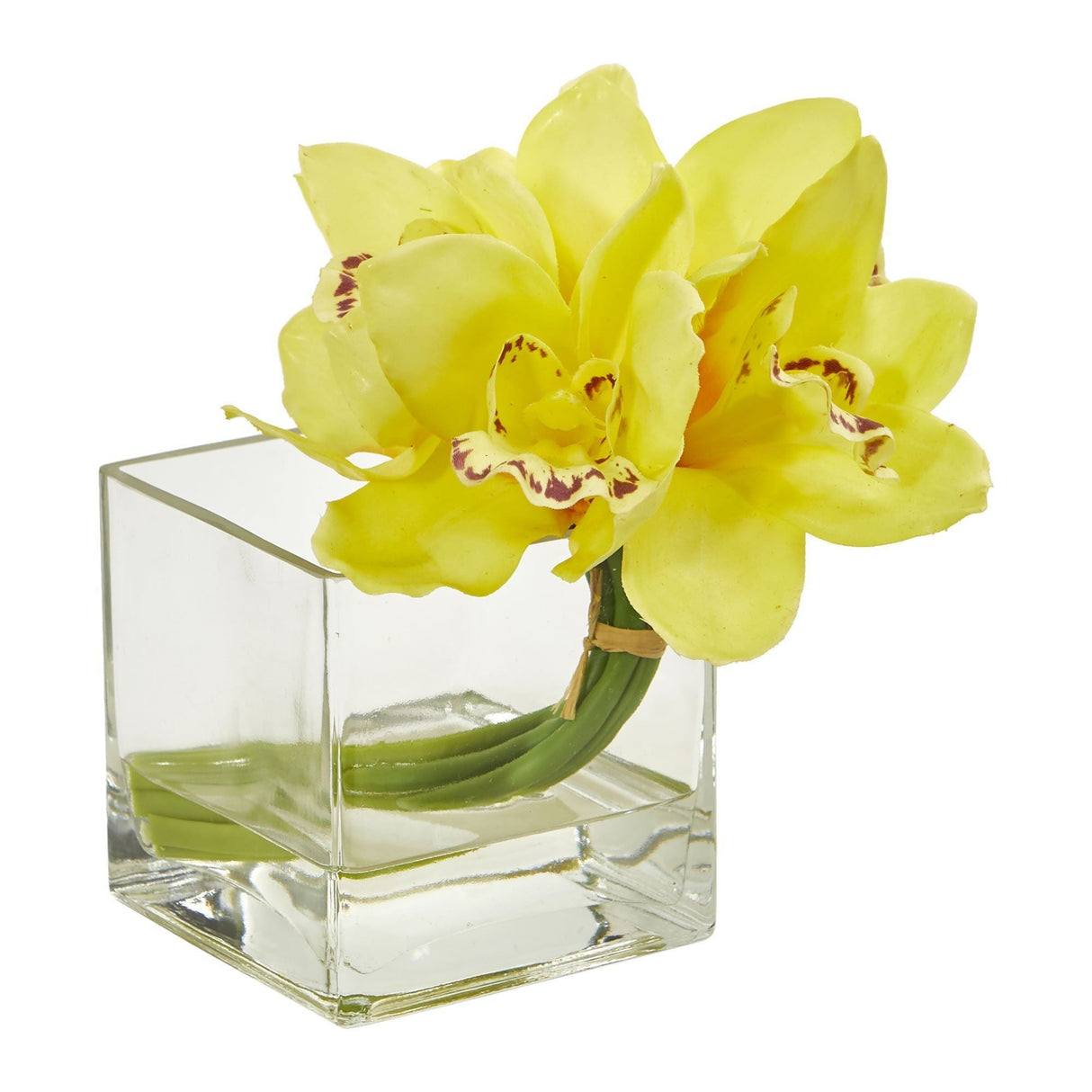 Cymbidium Orchid Artificial Arrangement in Glass Vase (Set of 2)-Parc Decor