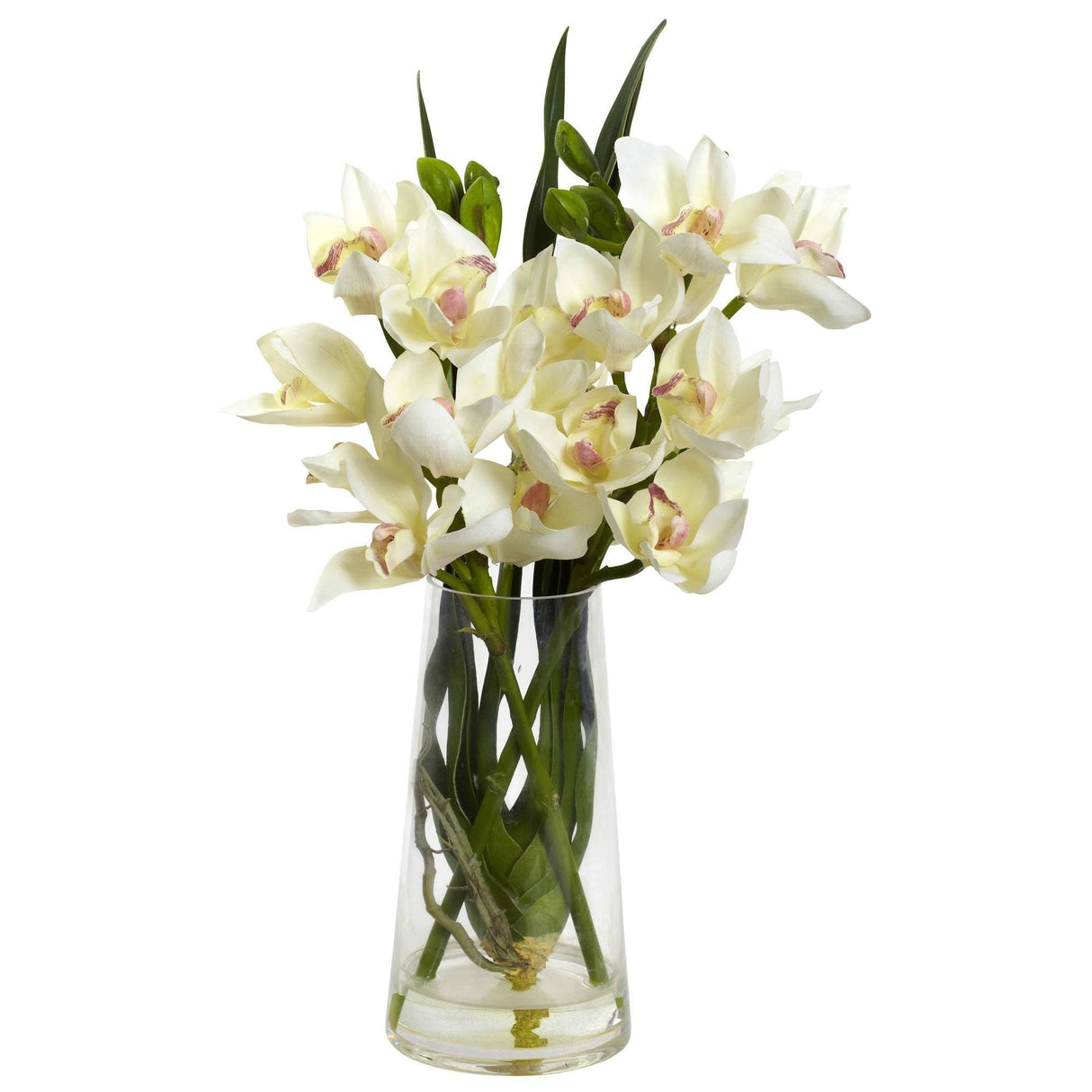 Cymbidium Orchid w/Vase-Parc Decor
